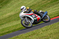 Vintage-motorcycle-club;eventdigitalimages;mallory-park;mallory-park-trackday-photographs;no-limits-trackdays;peter-wileman-photography;trackday-digital-images;trackday-photos;vmcc-festival-1000-bikes-photographs